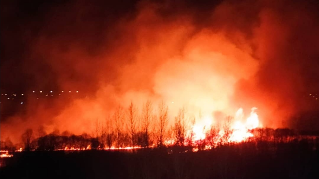 Пожар число. Пожар в Ульяновске. Пожар на чёрном озере в Ульяновске. Пожар Димитровград.