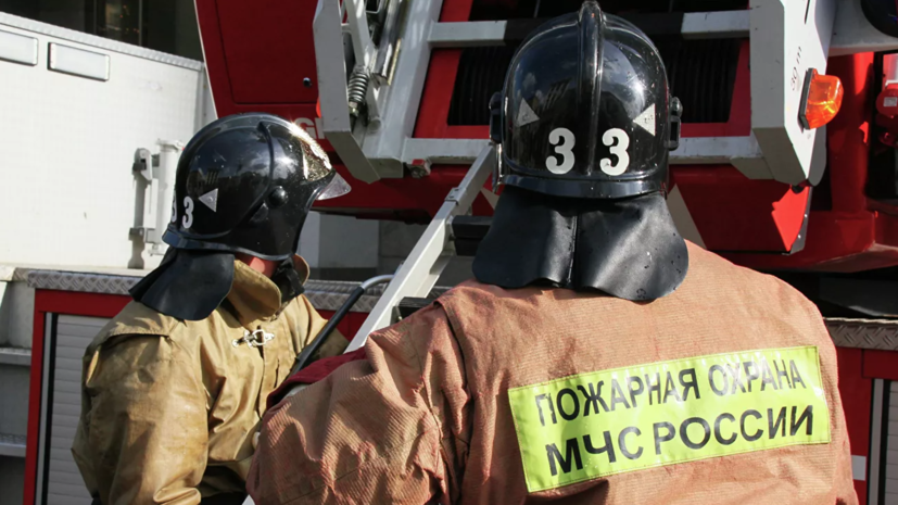 Двое детей и их мать погибли при пожаре в Саратовской области