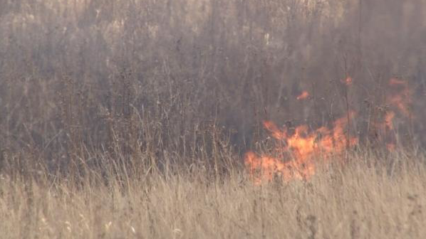 21 человек тушил лесной пожар под Ульяновском