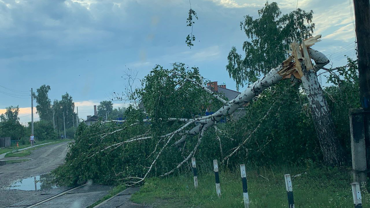 Ураган в Инзе Ульяновской области. Ураган Ульяновск 2021. Ураган в Ульяновской области. Дерево оборвало линии электропередач. 28 июня 2007