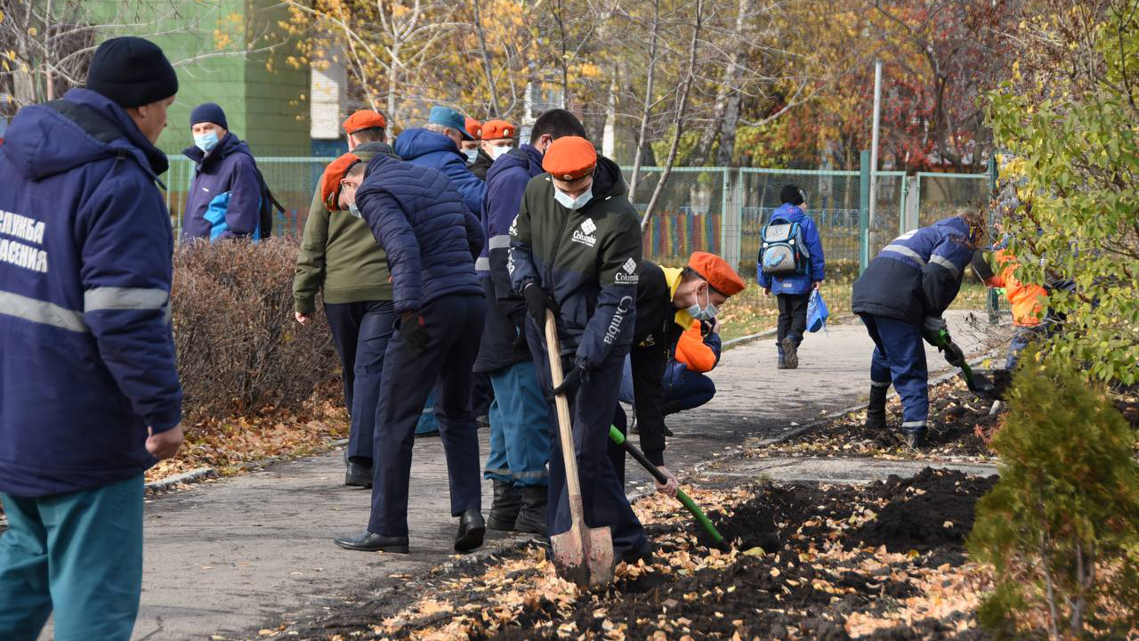 Мозаика ульяновск новости. Высадили деревья Ульяновск. Аллея кадетов Саратов. Аллея здоровья Самара на Ташкентской высадка деревьев 15 октября. Школа на улице.