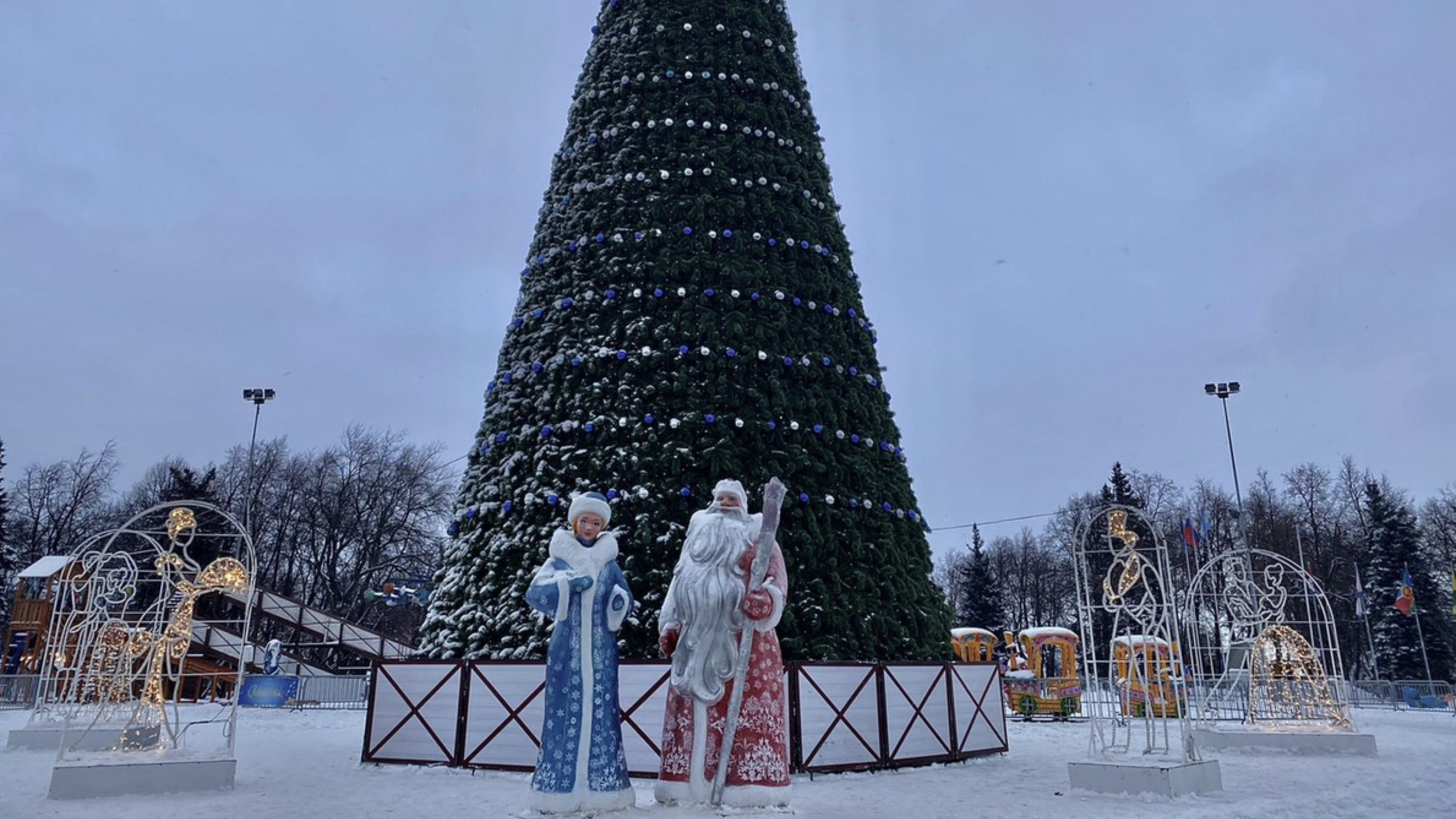 Центральная елка Ульяновск 2022. Открытие елки Ульяновск 2022. Елка в Ульяновске 2022. Ульяновск новый год 2022.