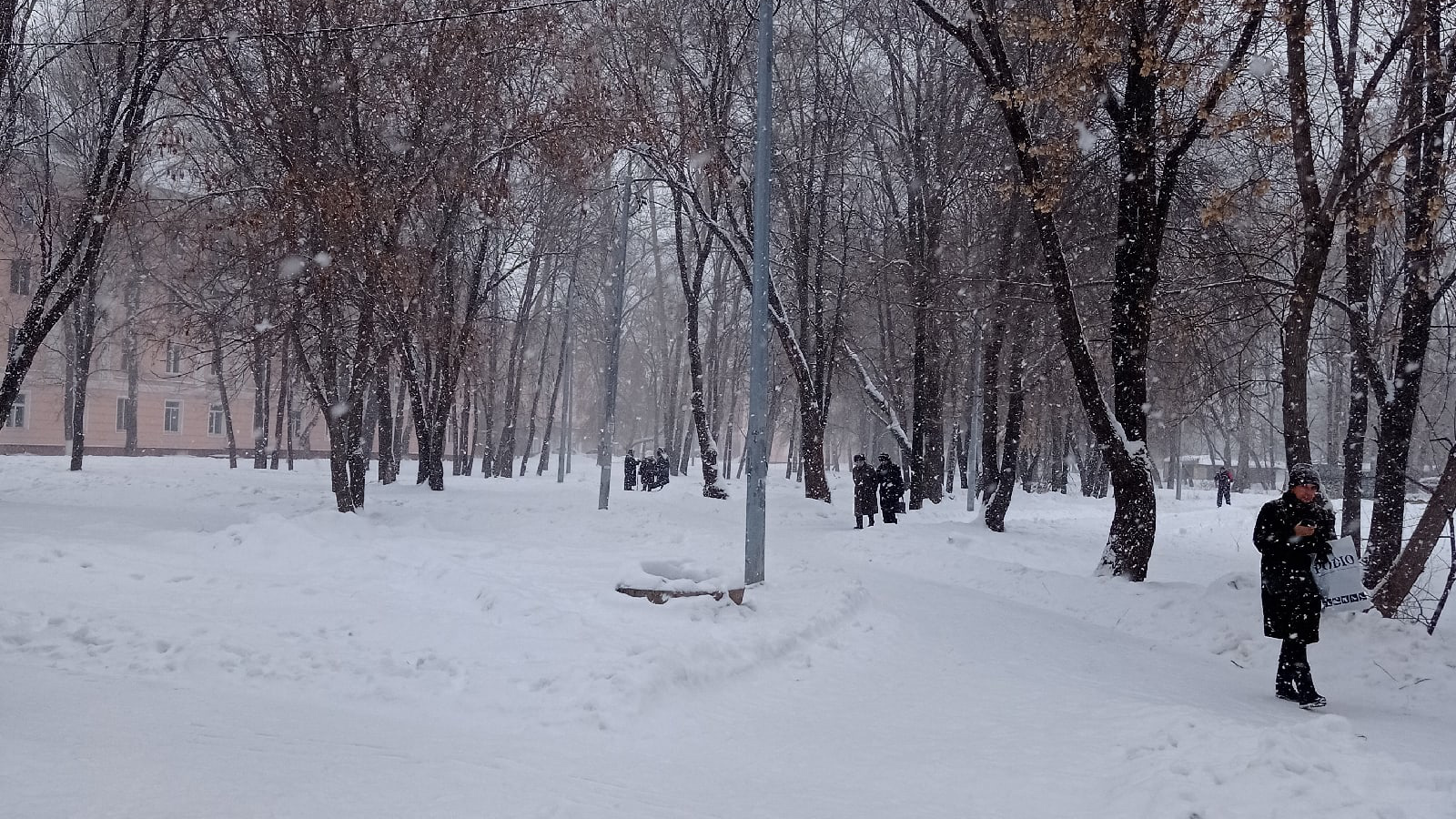 Снег, ветер, гололедица: погода в Ульяновской области на 13 января