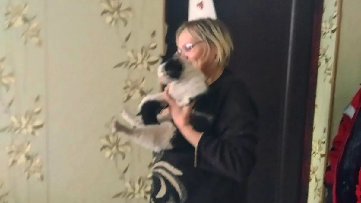 В Ульяновске спасатели просверлили пол в доме, чтобы достать маленькую кошку