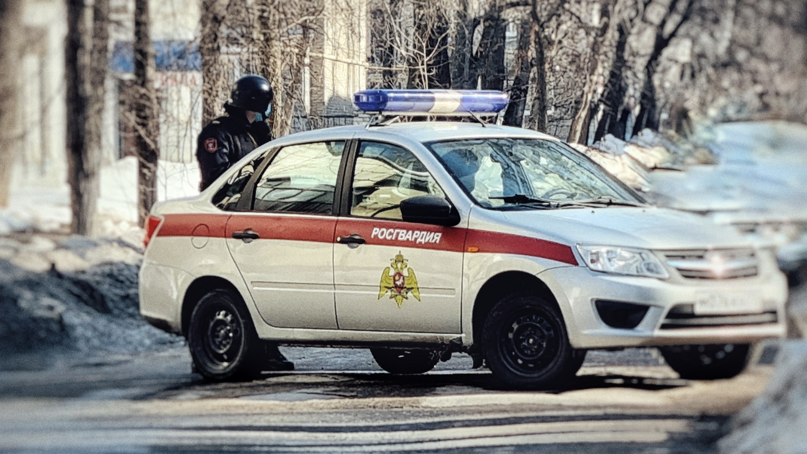 В Ульяновске 23-летнего похитителя элитного алкоголя задержали во время операции 