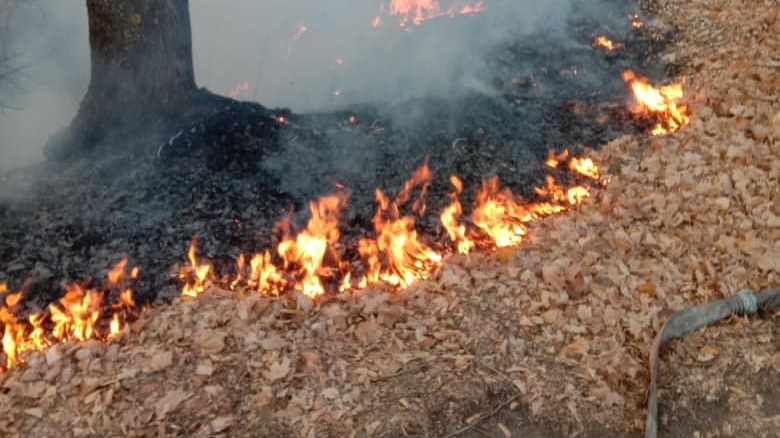 В Ульяновске 23 и 24 апреля устранили 20 возгораний сухой травы