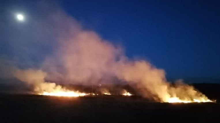 На Новоульяновск с полей движется масштабный пожар