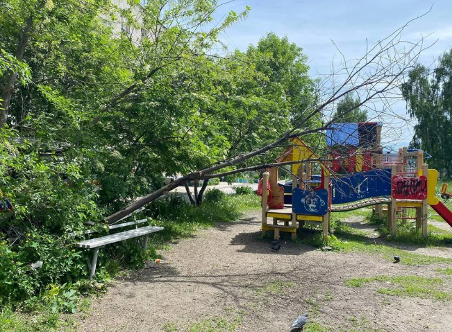 В Ульяновске на детскую площадку рухнуло дерево