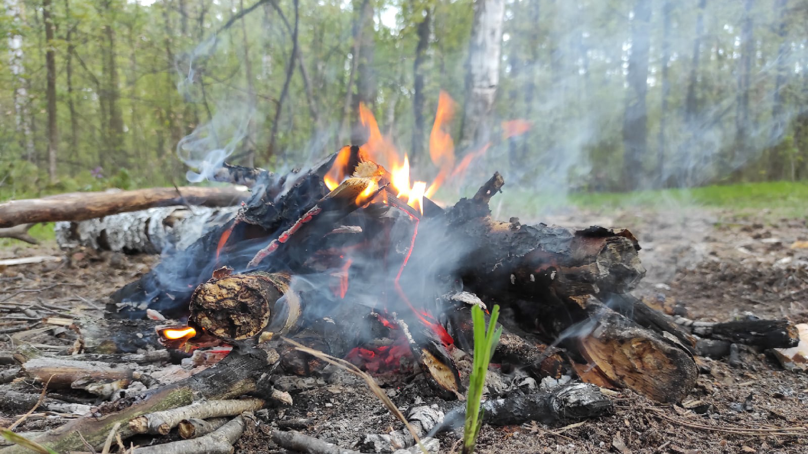 В Ульяновской области в 2022 году по поручению губернатора уделят особое внимание лесным пожарам