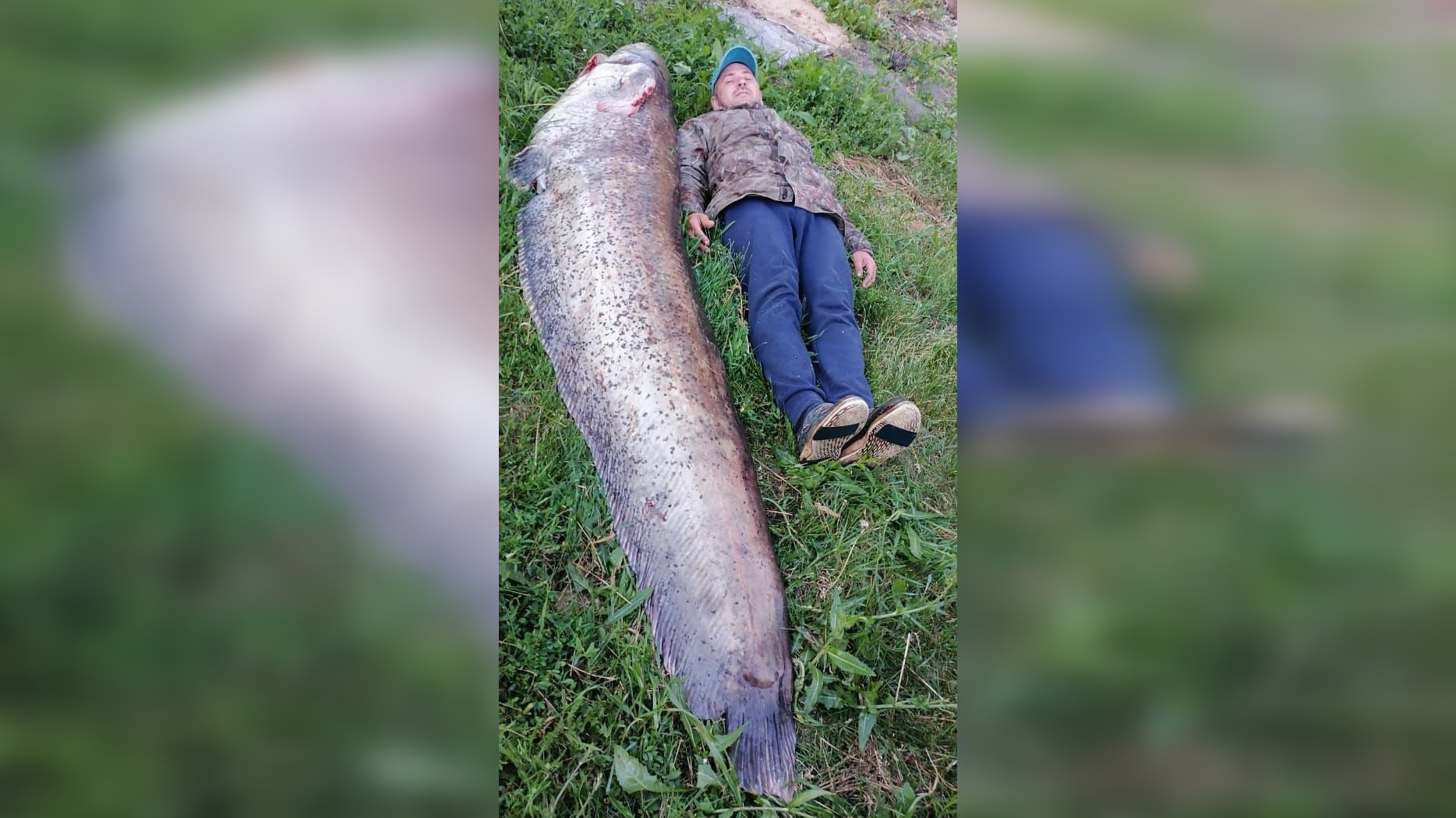 У Президентского моста в Ульяновске рыбак поймал гигантского сома