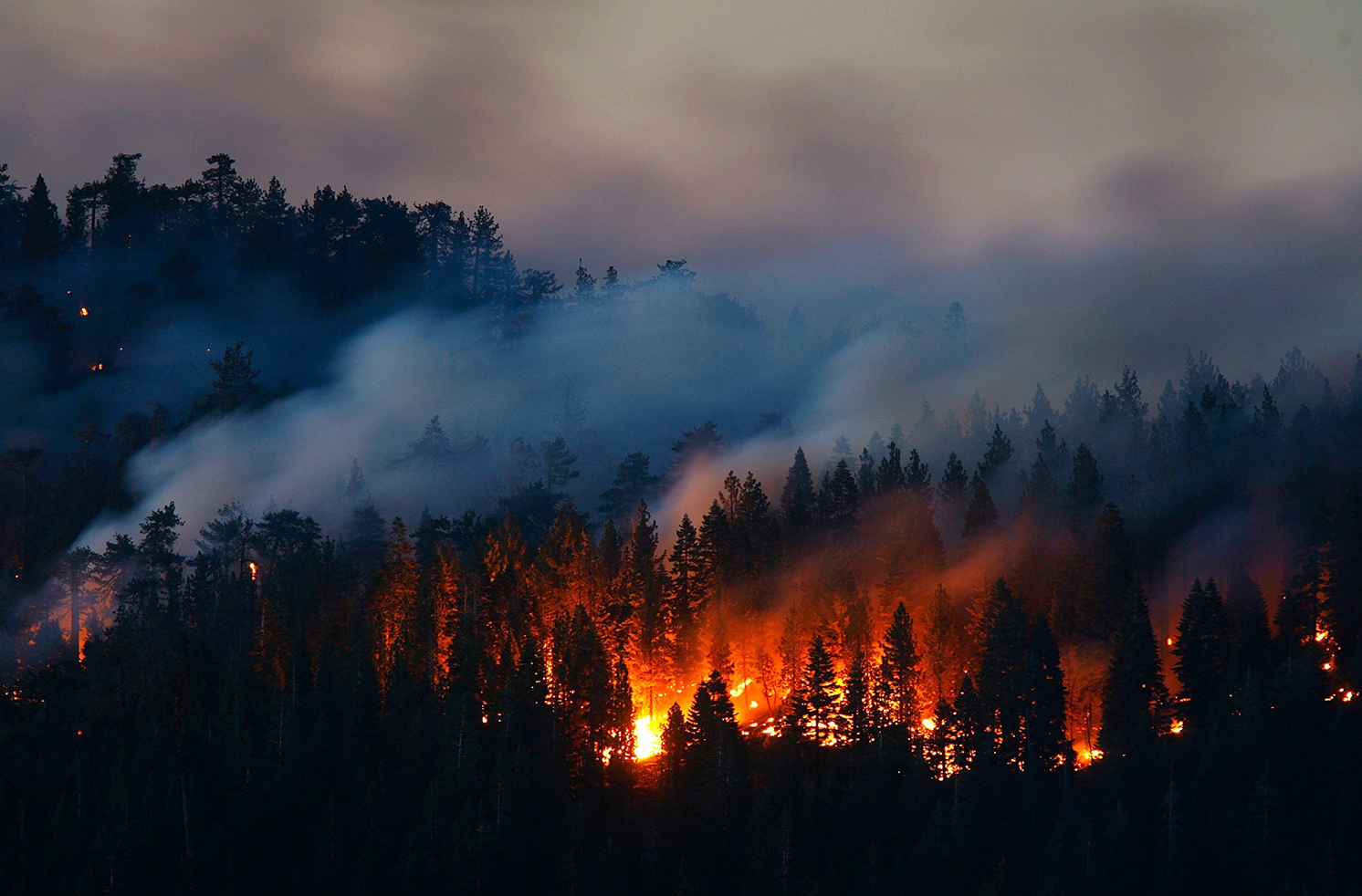 В Ульяновской области сгорело 1,5 га леса из-за грозы