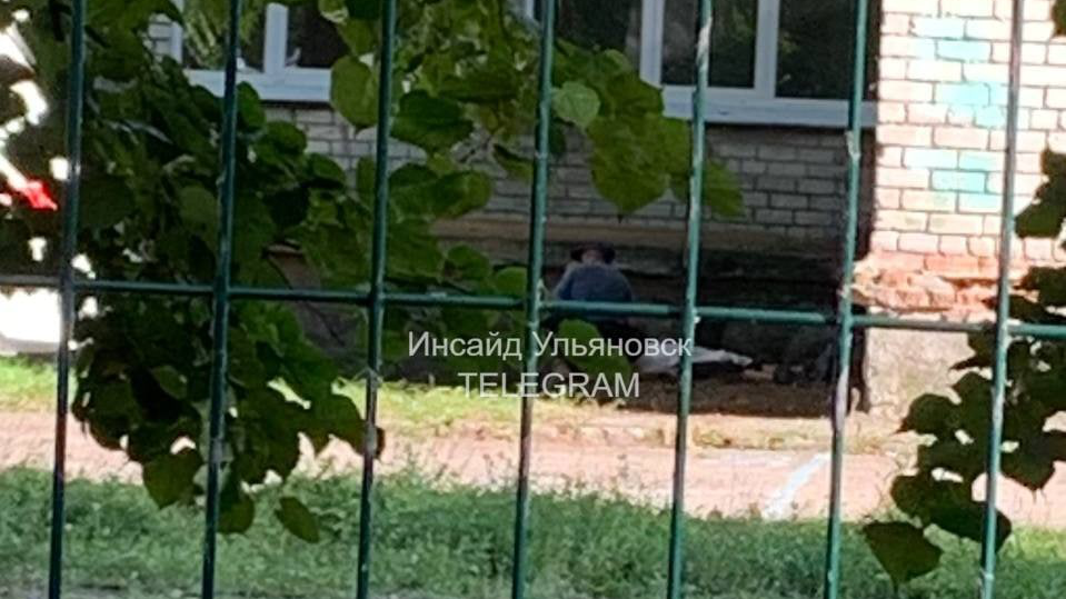 Соцсети: в Ульяновске мужчина упал с крыши школы и разбился насмерть