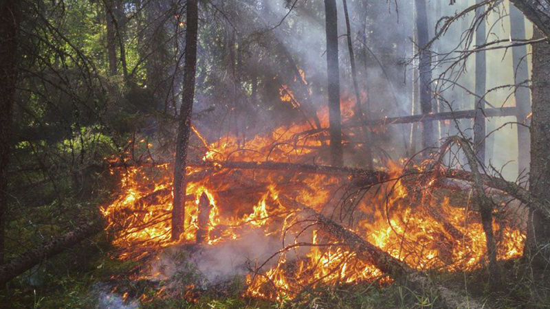 Загоревшаяся машина в Ульяновской области привела к природному пожару