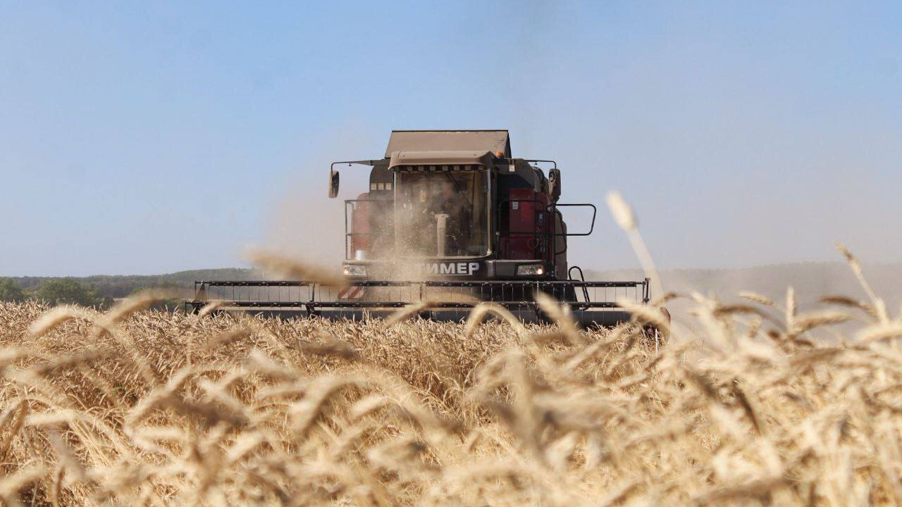 2 млн тонн зерновых могут намолотить ульяновские хлеборобы
