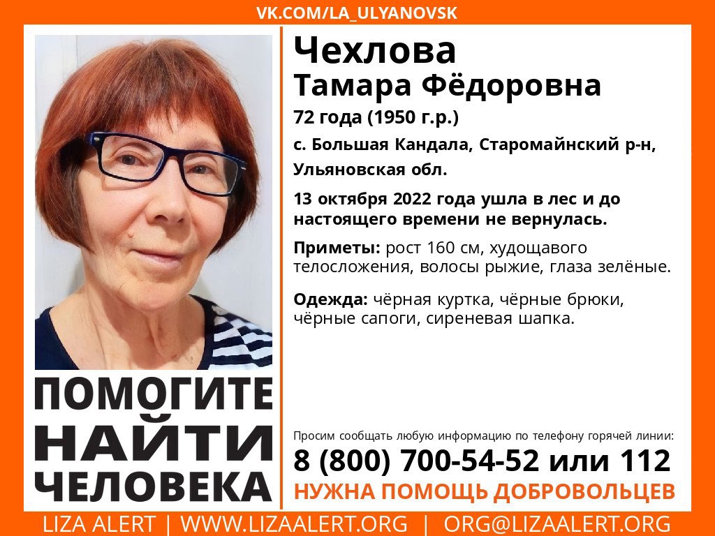 В Ульяновской области женщина 72 лет ушла в лес и не вернулась