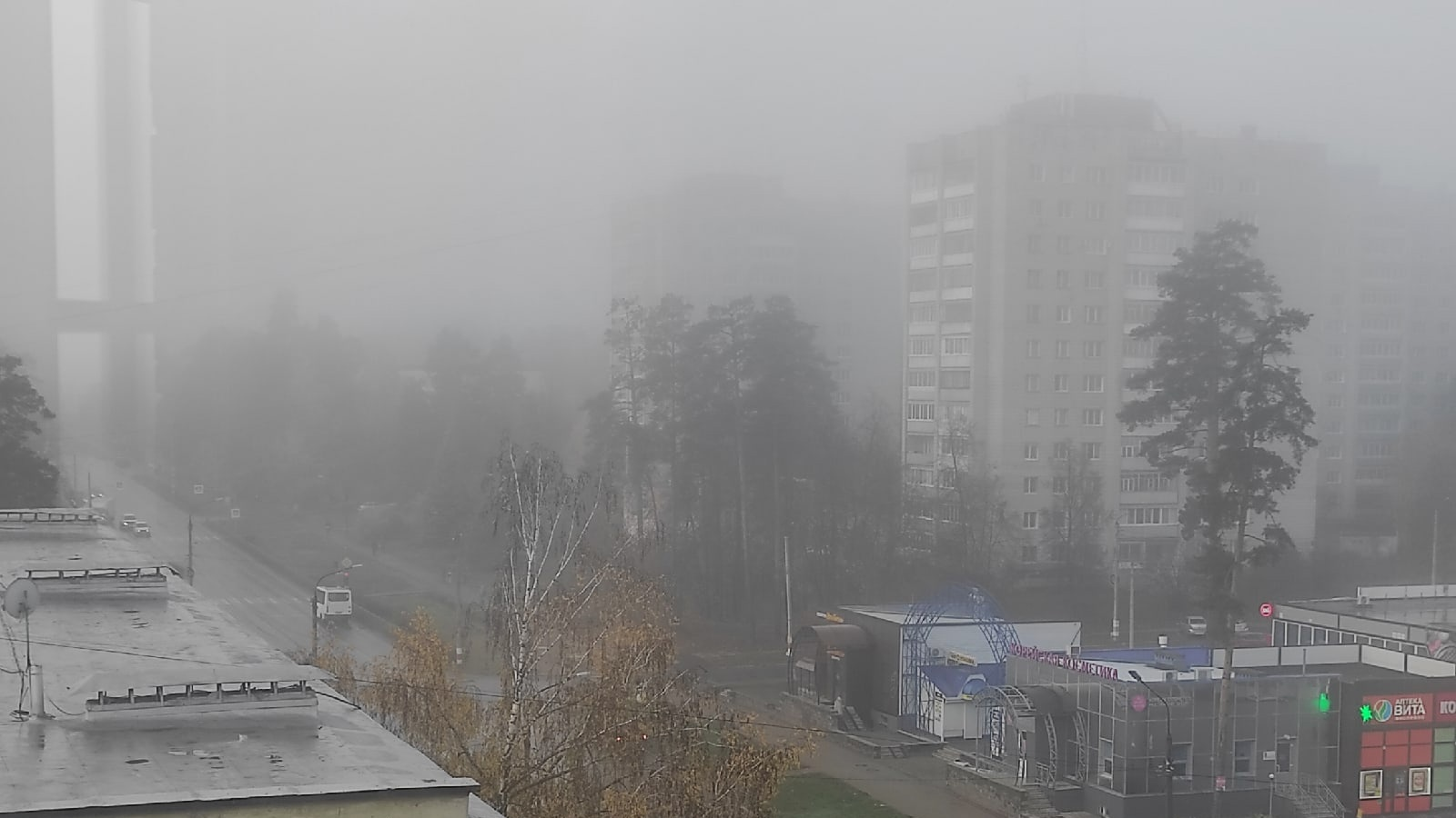 Ульяновскую область в ближайшие часы накроет туман с видимостью до 500 метров