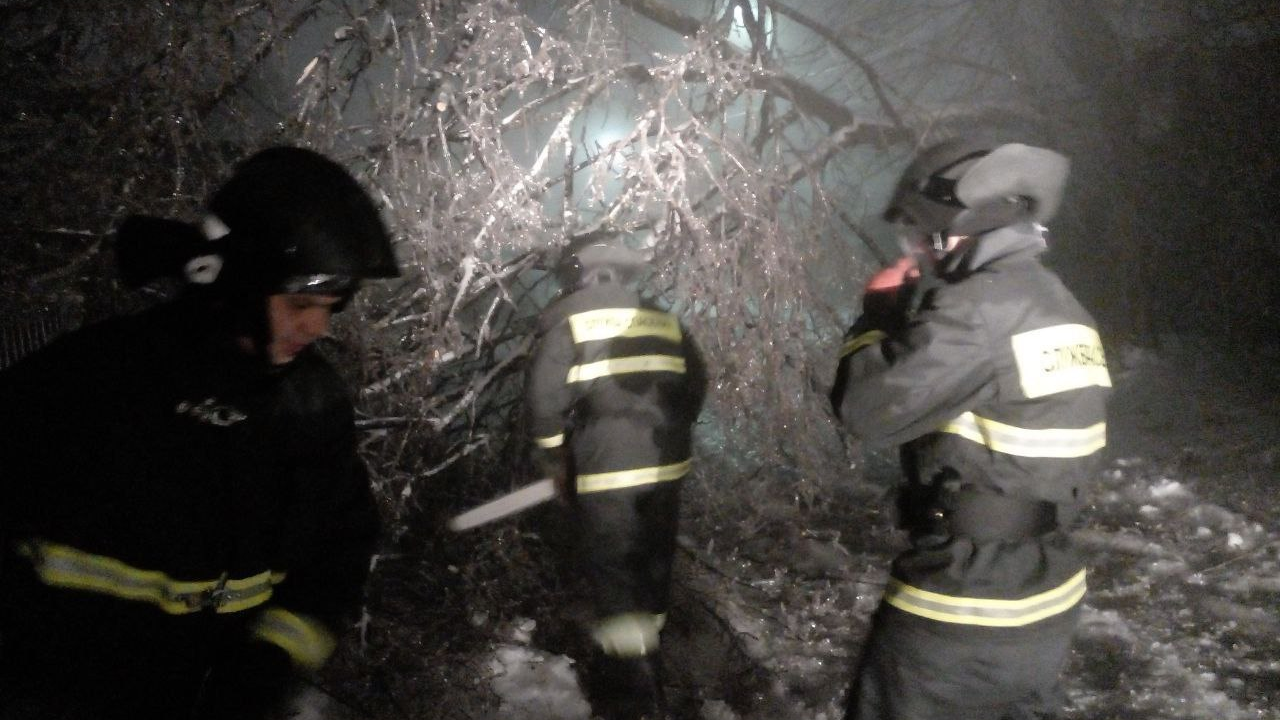 Видео 23 ноября. Экипаж ДПС Ульяновск. Группа спасателей. ДПС дерево. Спасатели фото.