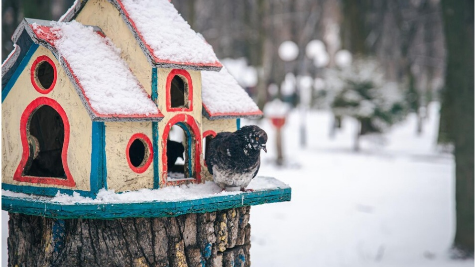 В семи парках Ульяновска открыли зимний сезон