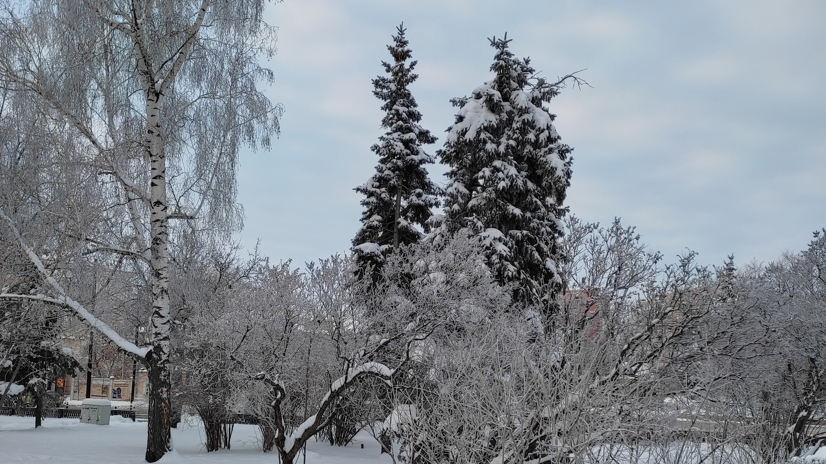 В Гидрометцентре Ульяновской области рассказали, когда отступят ночные морозы