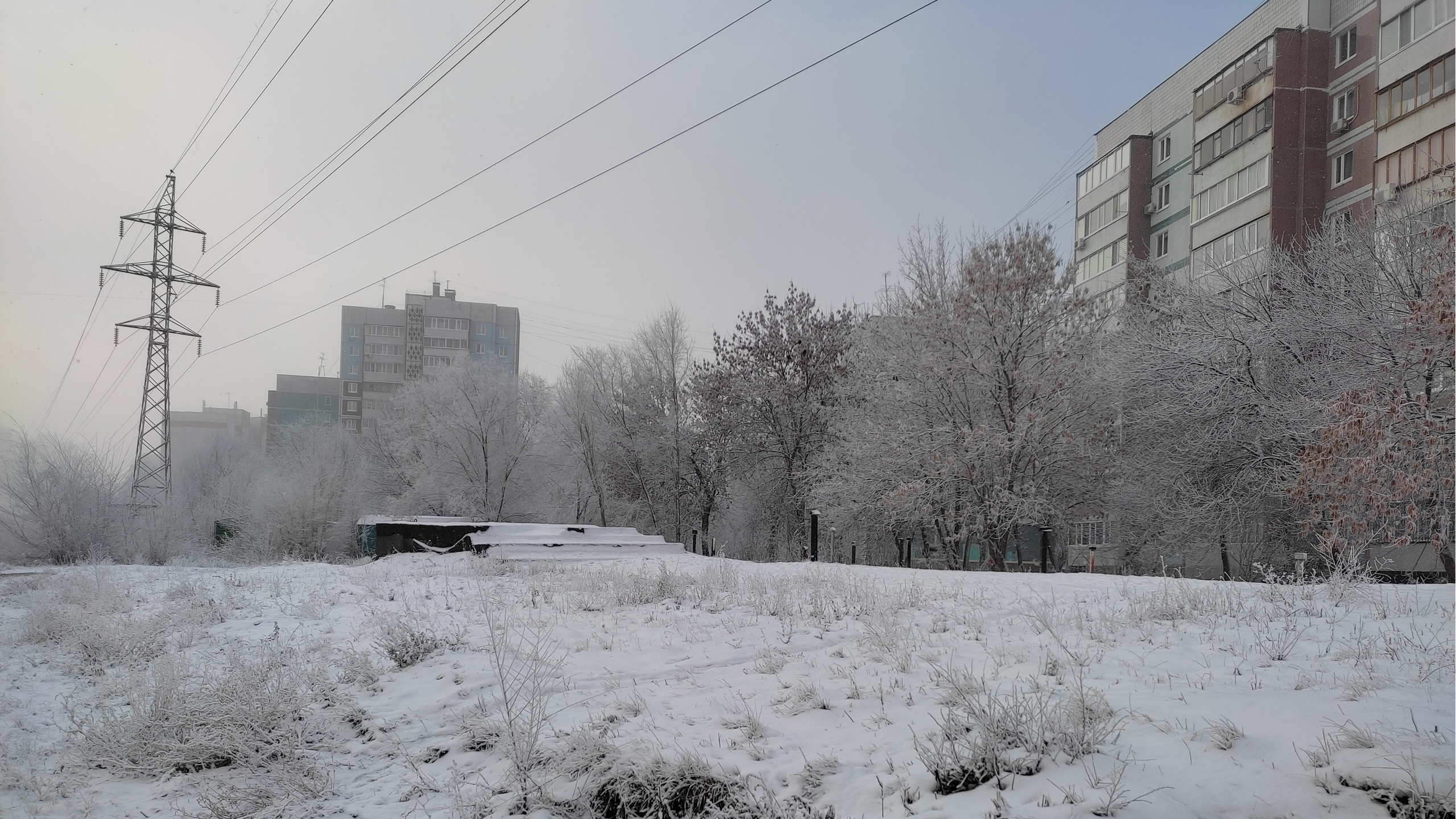 В Ульяновской области 14 декабря обещают снег и сильный ветер