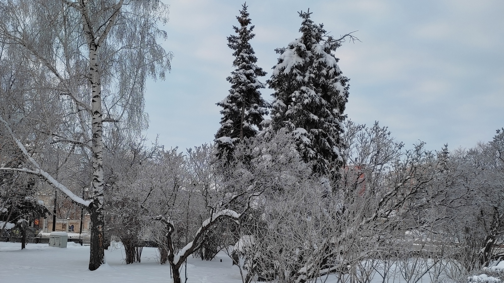 Московский снегопад добрался до Ульяновской области: прогноз погоды на 15 декабря