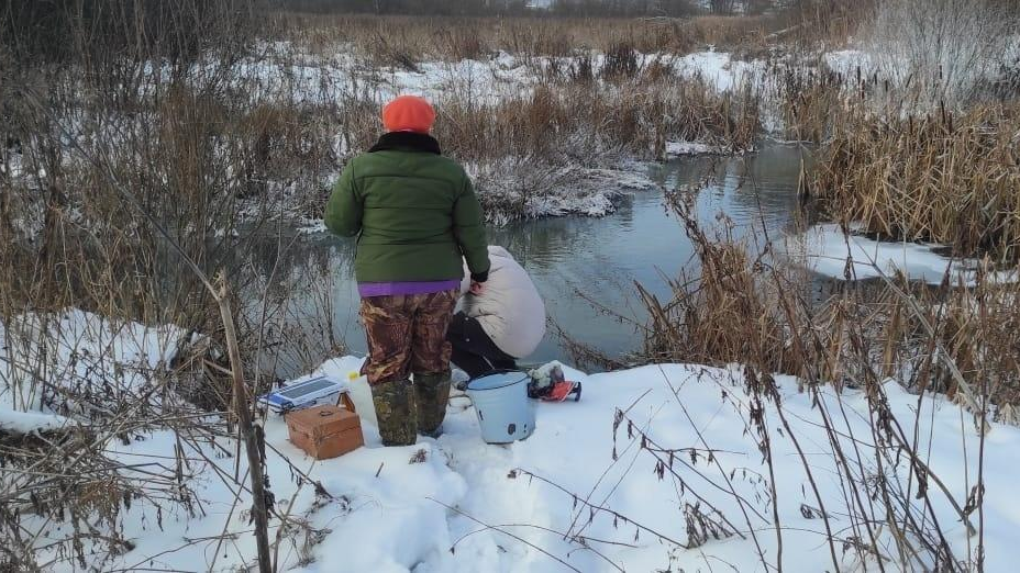 В река Сосновка в Мулловке обнаружили превышение железа и нефтепродуктов