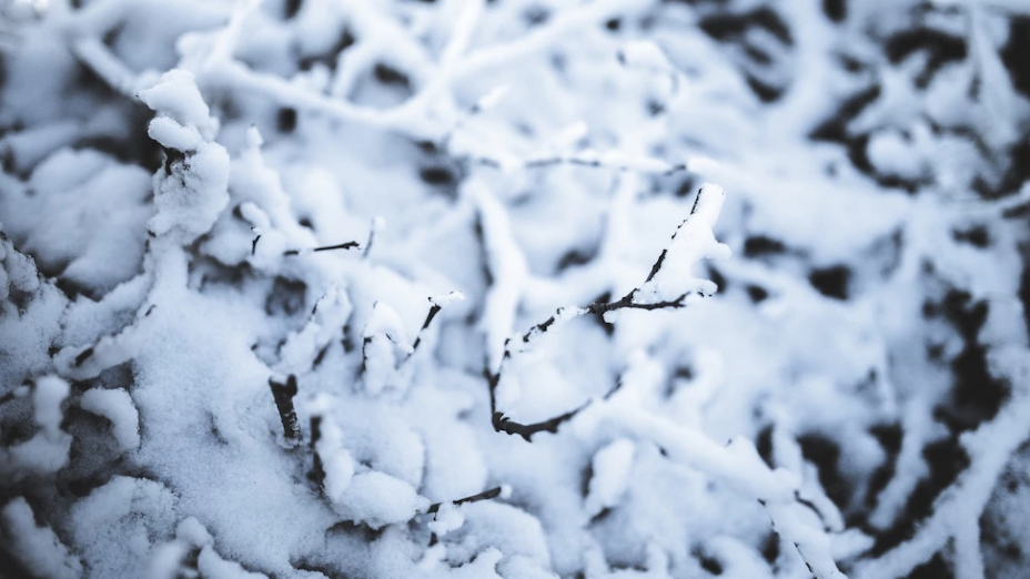 Не заметил: снегоуборочная машина засыпала 11-летнего мальчика при расчистке двора