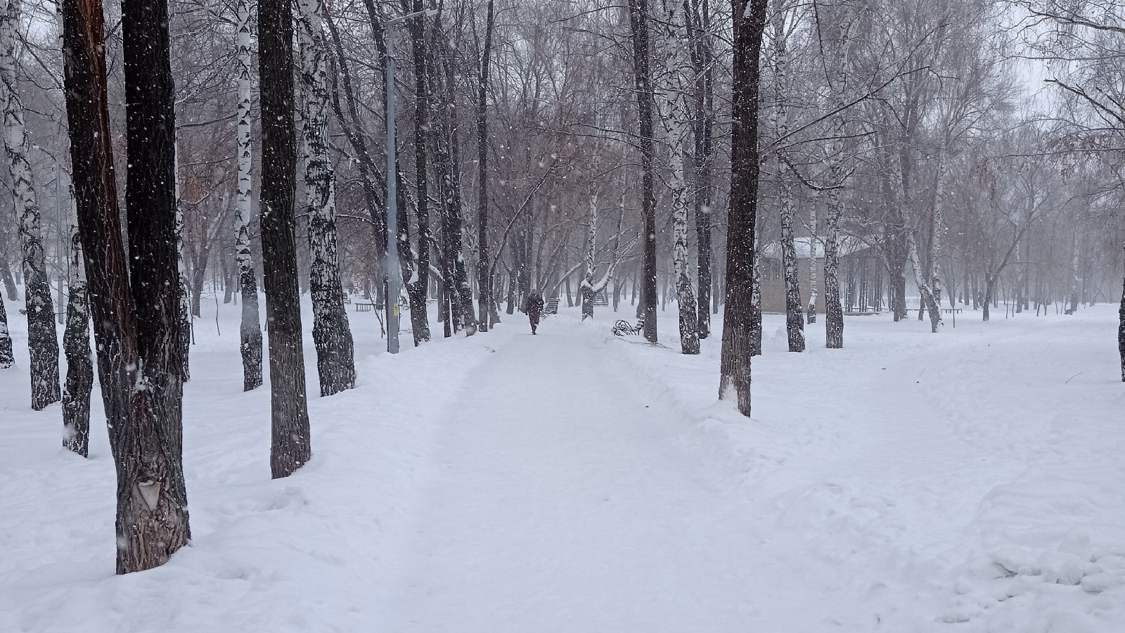 Погода в ульяновске в феврале. Ульяновская область зима. Зимняя погода фото. Конец зимы.