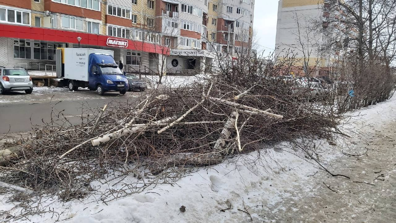 На Отрадной в Ульяновске вырубили посаженные жителями деревья, чтобы сделать остановку