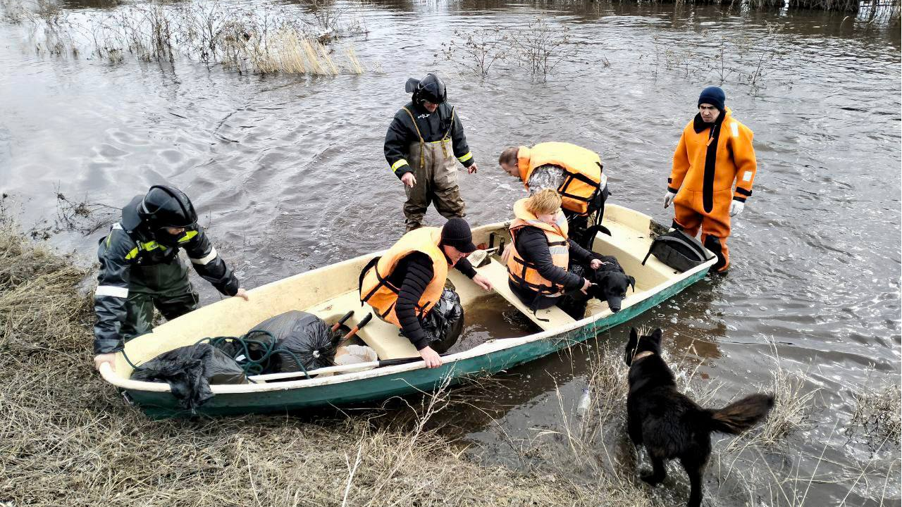 Спасатели на лодках вывезли людей и животных из затопленного дома в Вырыпаевке