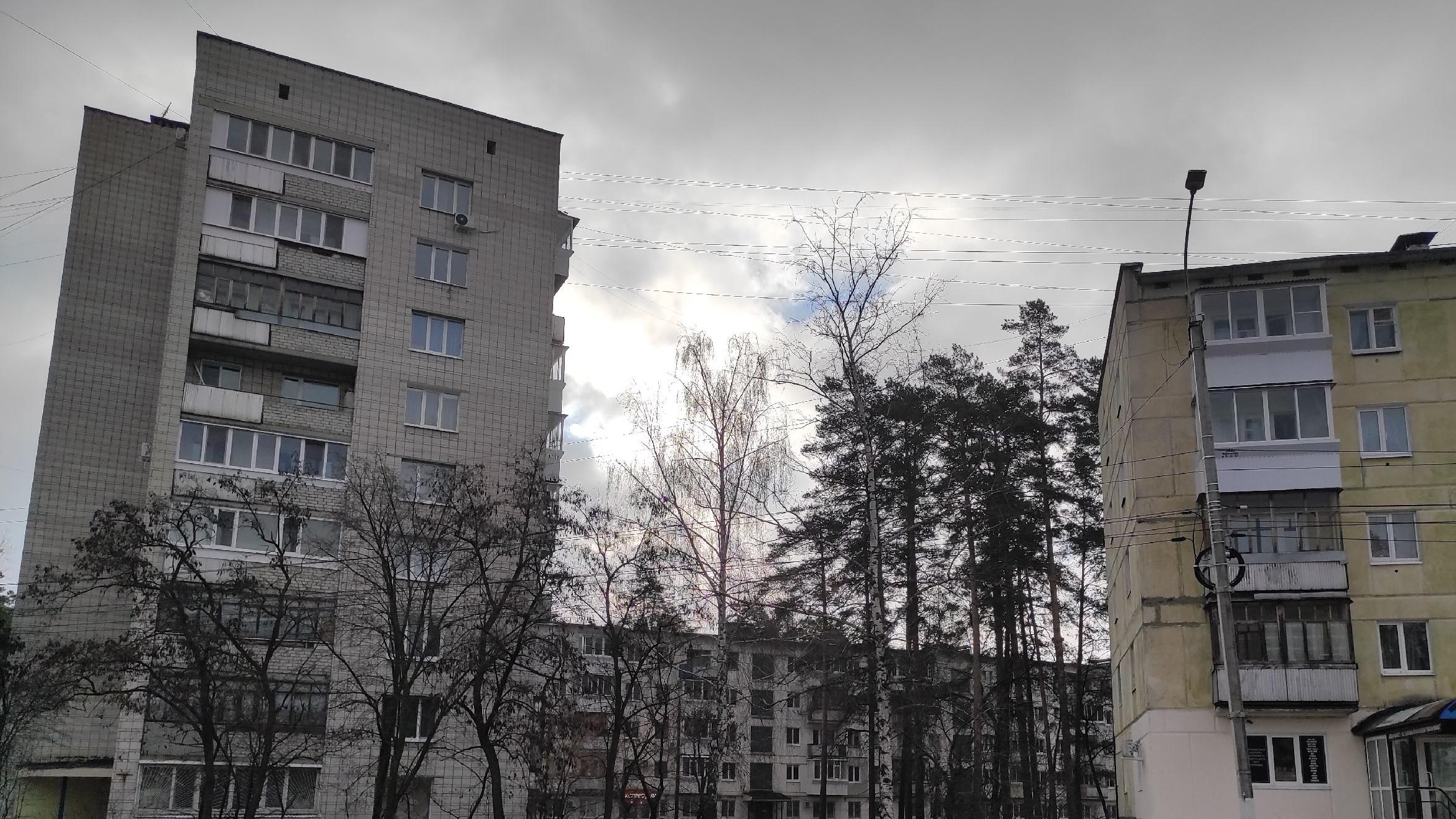 Снег, дождь, отрицательные температуры: озвучен прогноз погоды в Ульяновской области на первые апрельские выходные