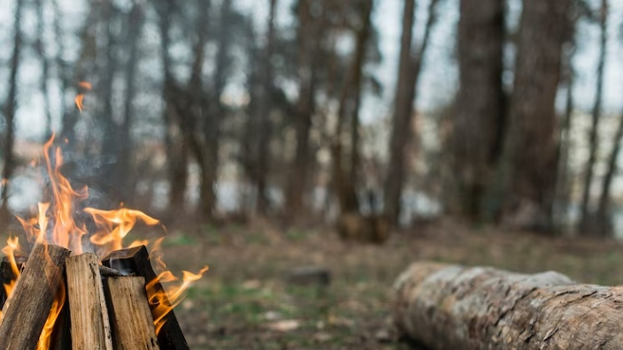 Минприроды: лес в Карсунском районе подожгли неизвестные