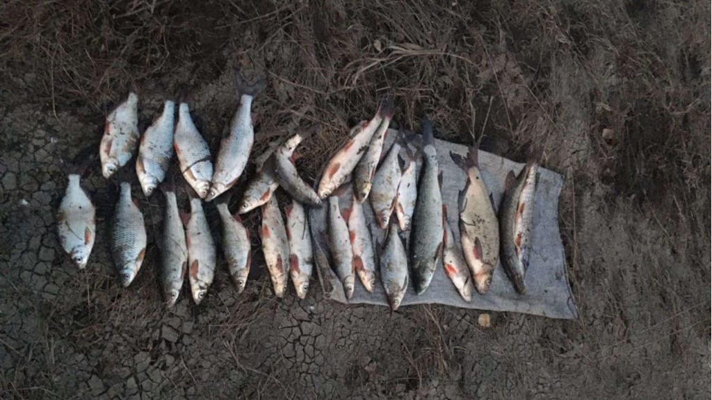 В Ульяновской области задержали 2-ух браконьеров с сетями и свежей рыбой