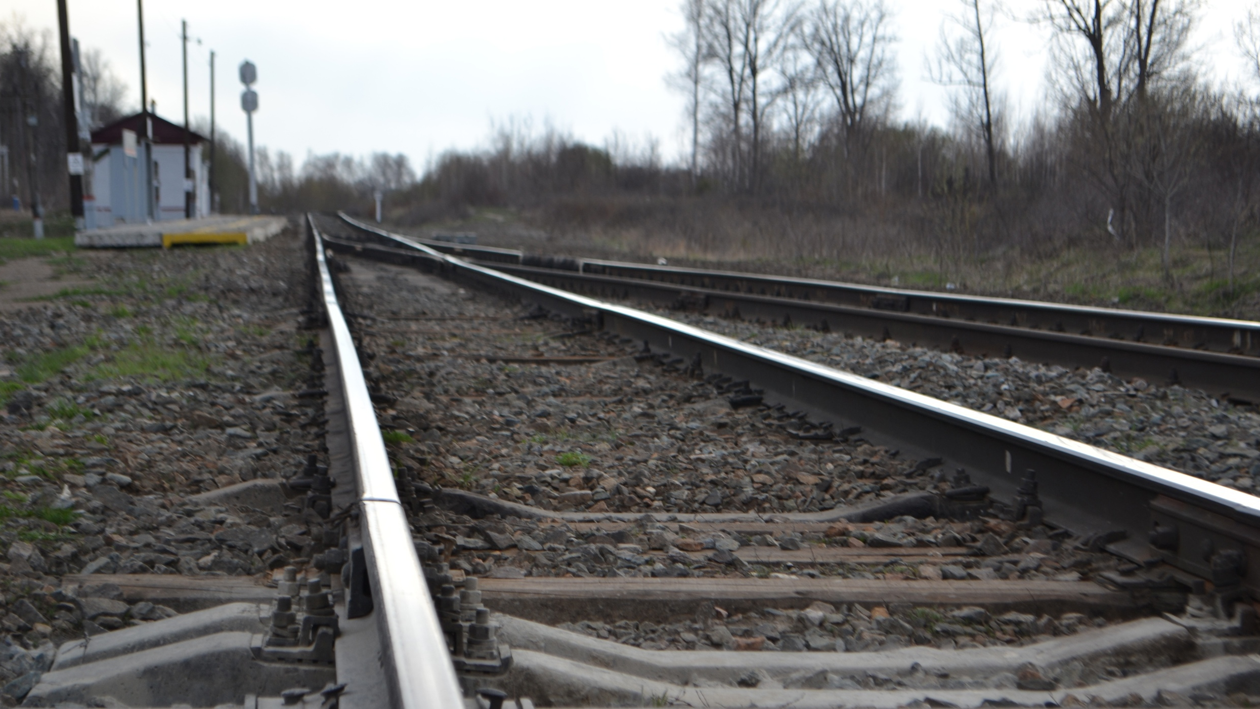 Сотрудники ФСБ вычислили 23-летнего ульяновца, который планировал диверсию на железной дороге