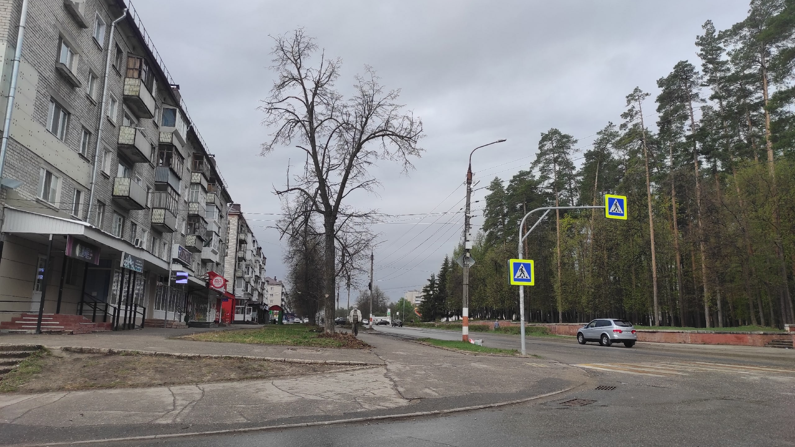 Что случилось сегодня в Ульяновской области: главное за 29 апреля 2023