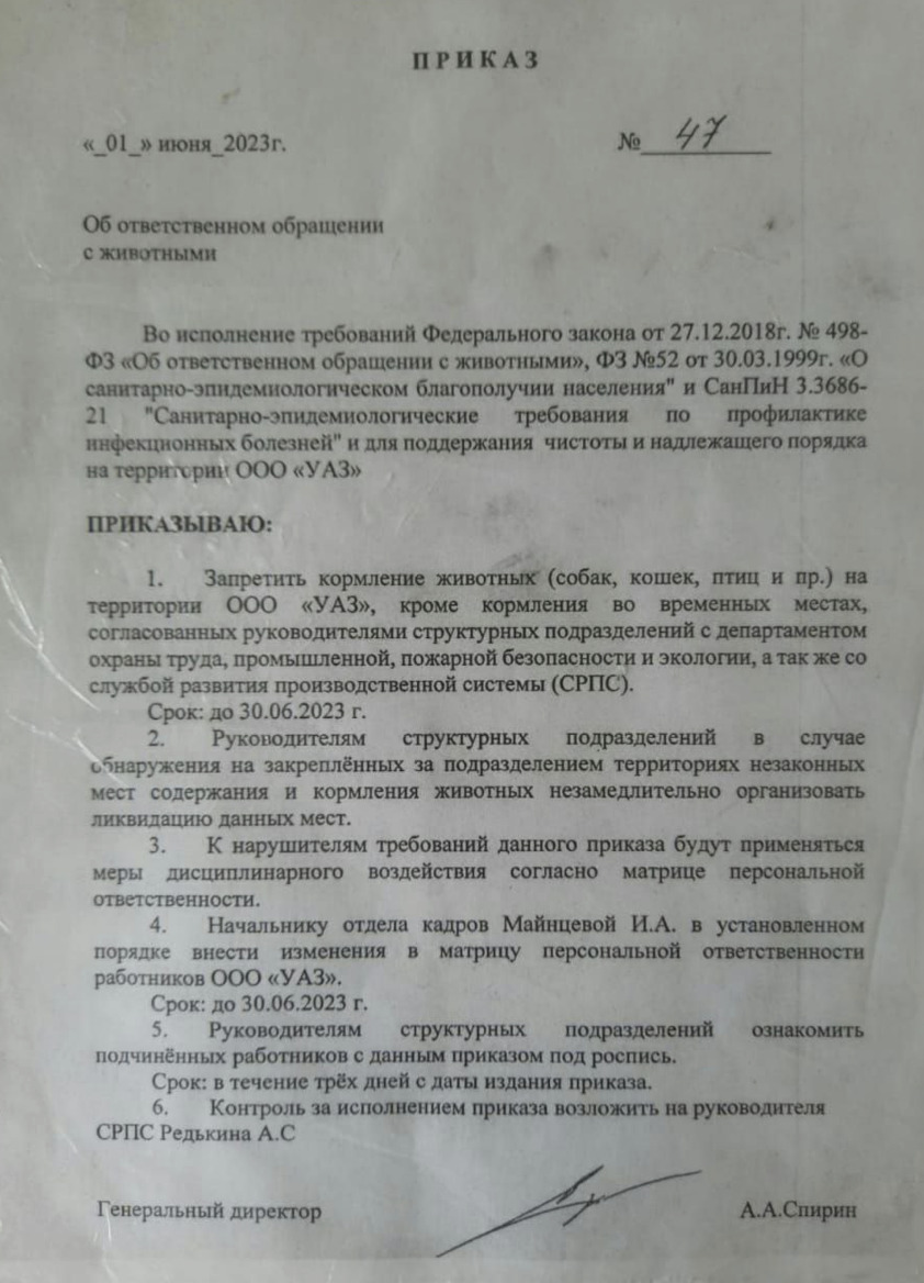 Ульяновский автозавод против кошек и собак: сотрудникам запретили кормить животных в «неположенных» местах