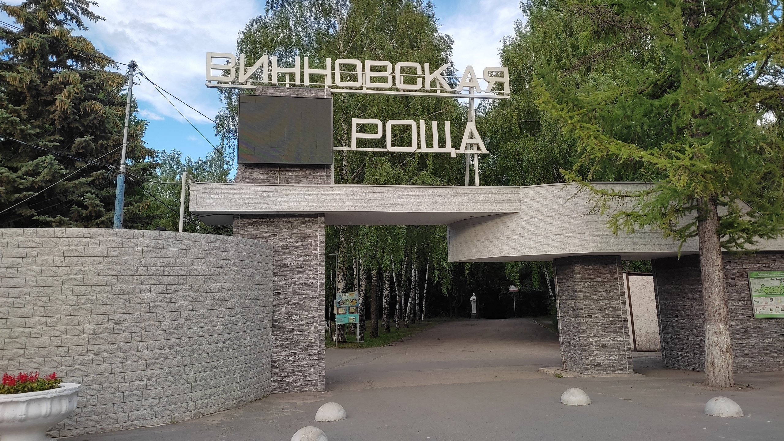 Порубочный билет получен: в Ульяновске 27 июня в Винновской роще начнут сносить деревья