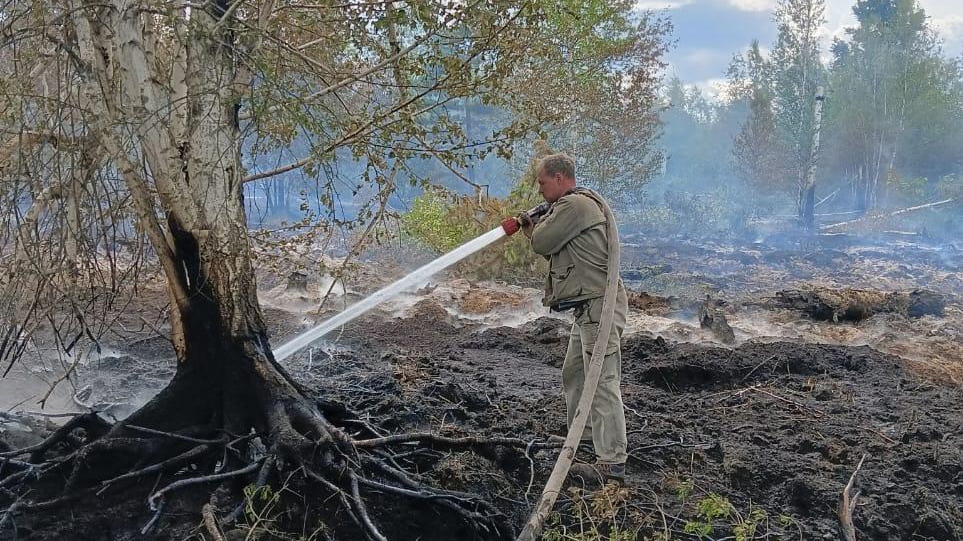 В мелекесском лесу подожгли торфяник: пожар тушили 42 человека
