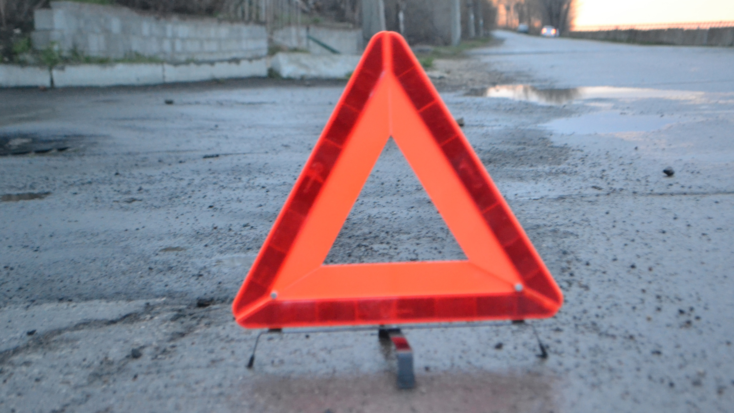 На трассе «Саранск – Ульяновск» столкнулись «Рено Дастер» и ВАЗ: пострадали 2 человека