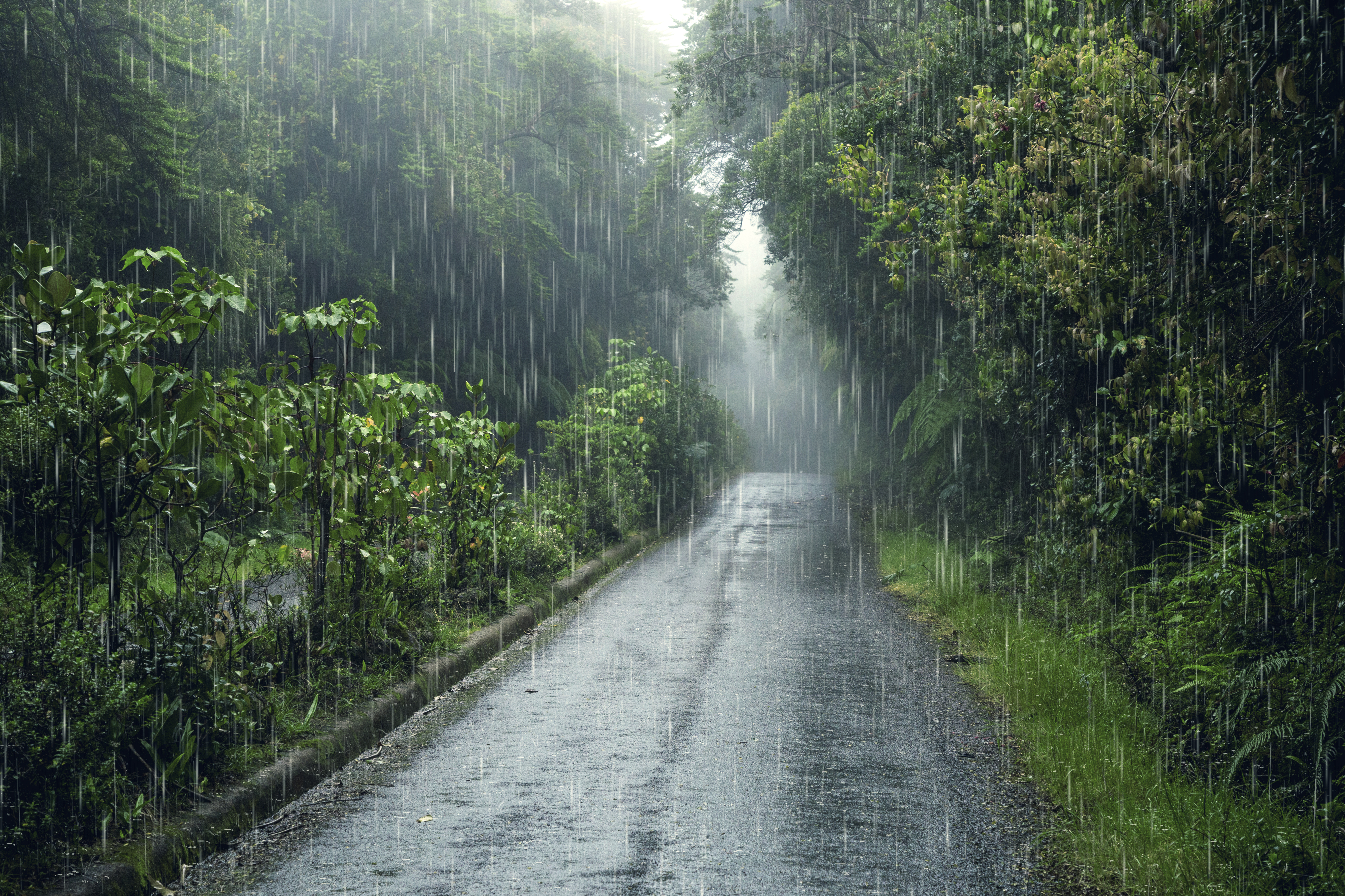 Ульяновскую область вновь накроют дождь и гроза: названа точная дата