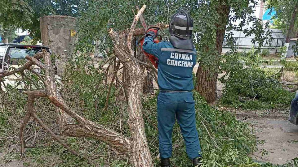 Ульяновские спасатели вытащили легковушку из-под рухнувшего дерева 16 июля