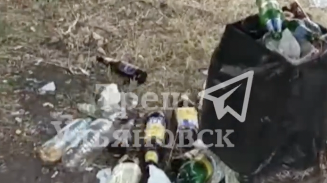 Повсюду бутылки, мусор и сухая трава: ульяновцы пожаловались на состояние сквера в Новом городе