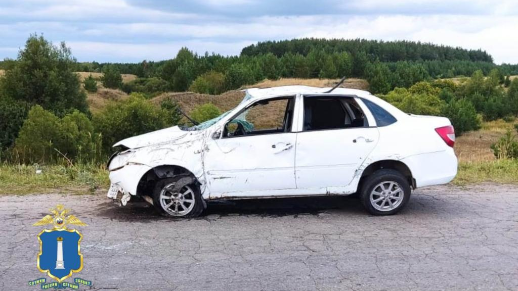 На ульяновской трассе пьяный водитель на «Ладе Гранта» перевернулся: мужчину госпитализировали