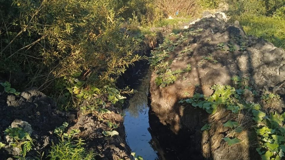 В Минприроды рассказали, зачем у Шолмовского пруда в Засвияжье прокопали канаву