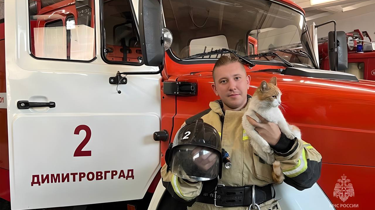 Талисман для привлечения удачи: в Димитровграде в МЧС уже 10 лет служит кот Рыжий
