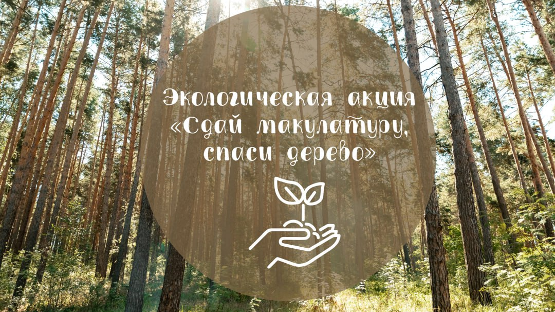 Нацпарк «Сенгилеевские горы» запустил экологическую акцию «Сдай макулатуру — спаси дерево!»