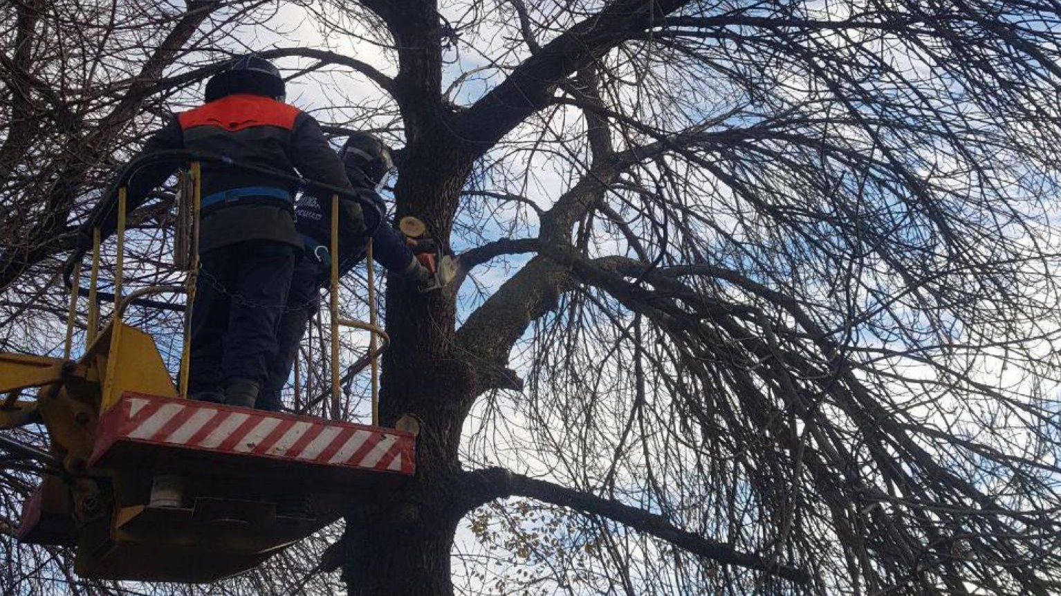 Спилить опасное дерево