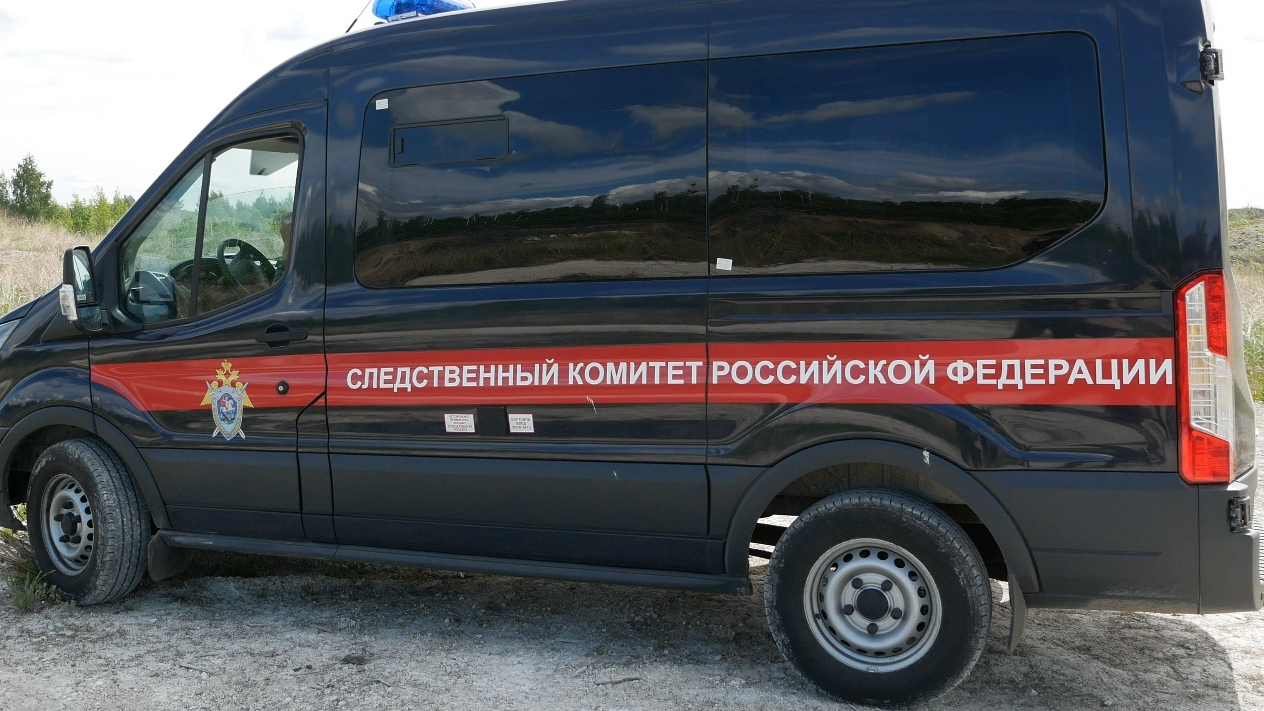 Глава Следственного комитета России Бастрыкин взял на контроль дело о смерти подростка от угарного газа в Ульяновске