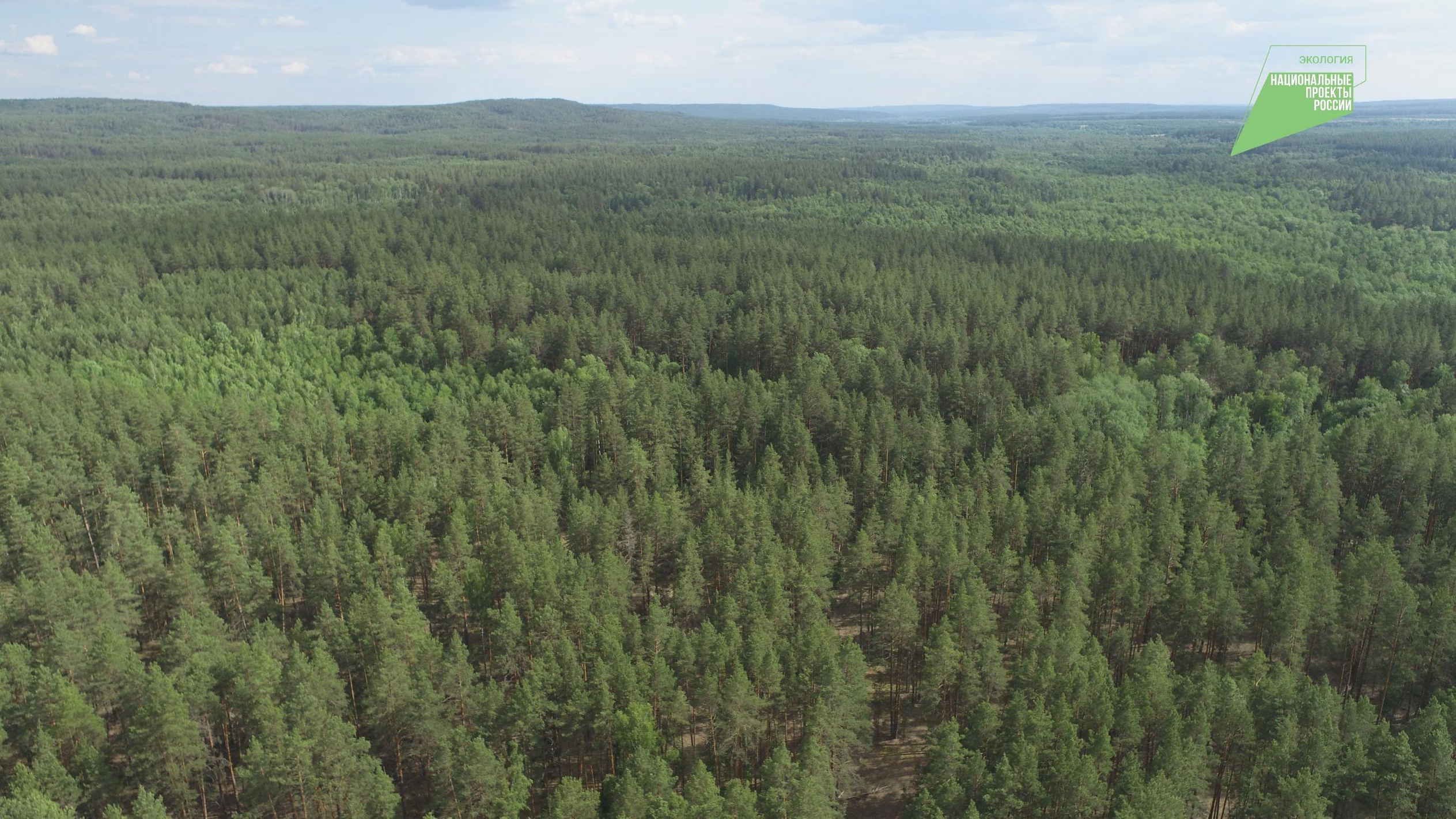 Передовые технологии: леса в Ульяновской области будут патрулировать при помощи беспилотников