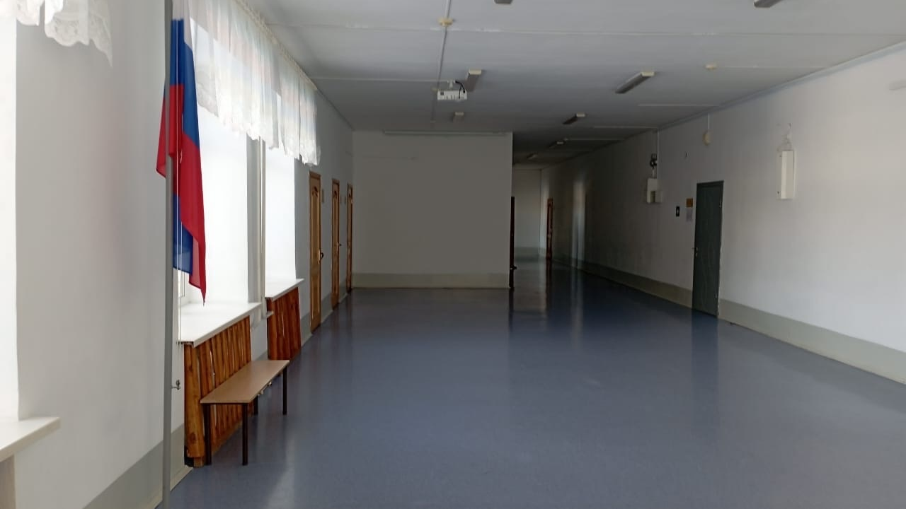 В Ульяновской области из-за ОРВИ полностью закрыли три школы